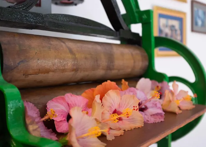 Monopol Ξενοδοχείο